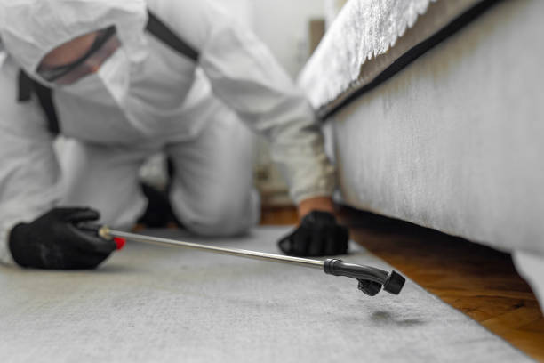 Professional Cockroach Control technician working in Morrisonville, NY